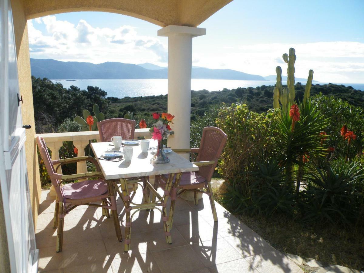 Villa Liamone Studio Fuer 3 Personen , 400 M Vom Strand, Pool, Klimaanlage แซโกน ภายนอก รูปภาพ